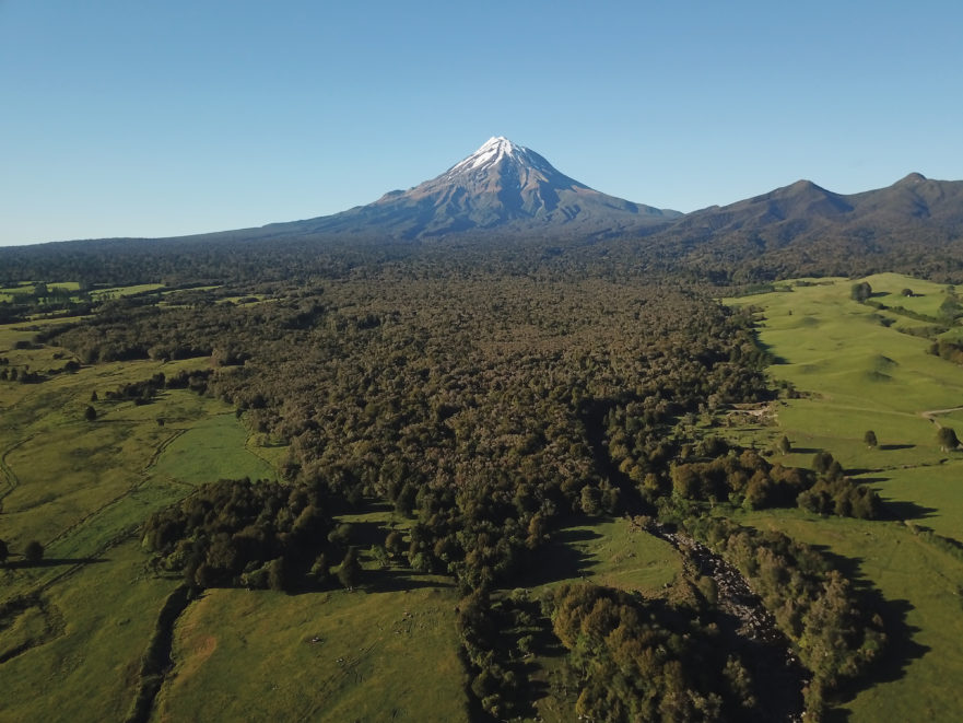 Taranaki Mahood- Lowe Reserve