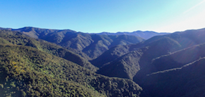 DJI_0082-resized DJI_0082-resized