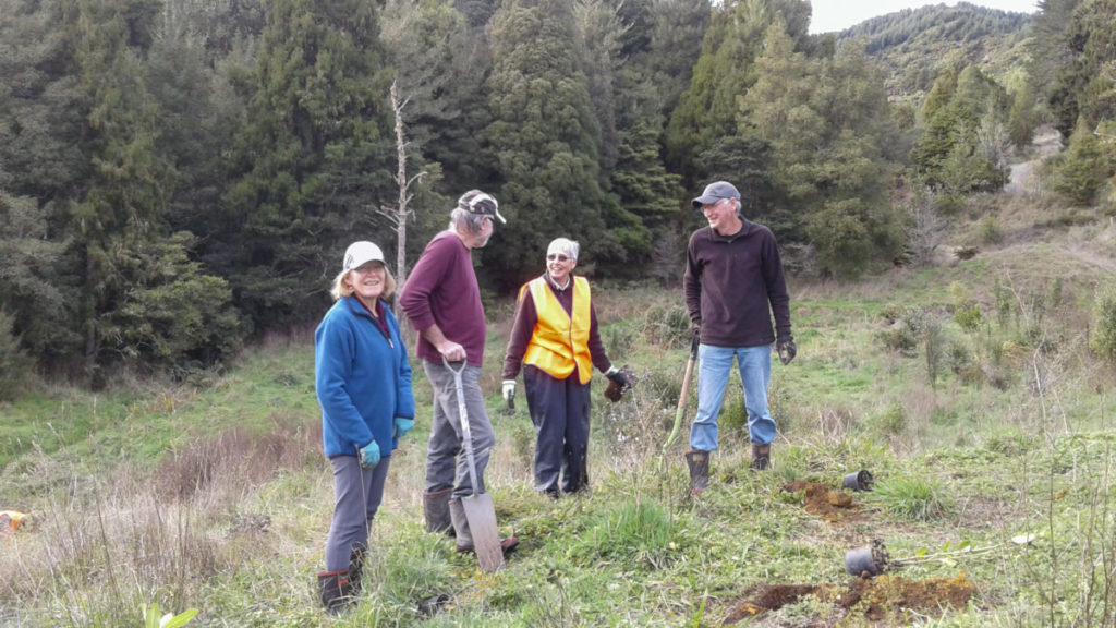 40th Anniversary Planting at Ed Hillary Hope Reserve