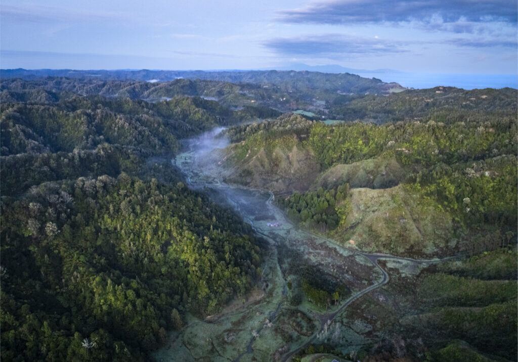 Aerial view of Hutiwai   by Tania Niwa