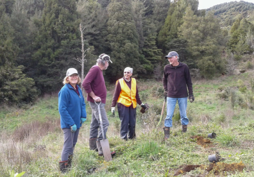 40th Anniversary Planting at Ed Hillary Hope Reserve