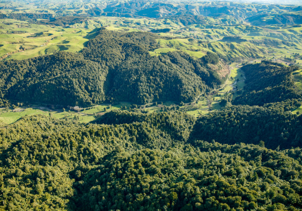 Owen Lewis Reserve