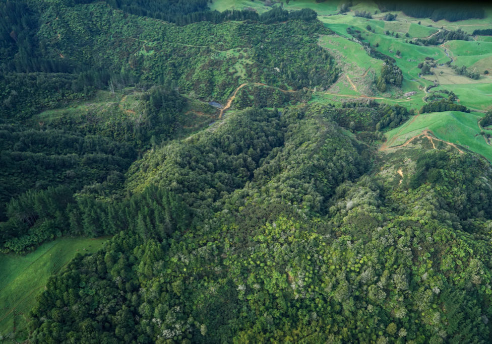 Tui Glen Tui Glen