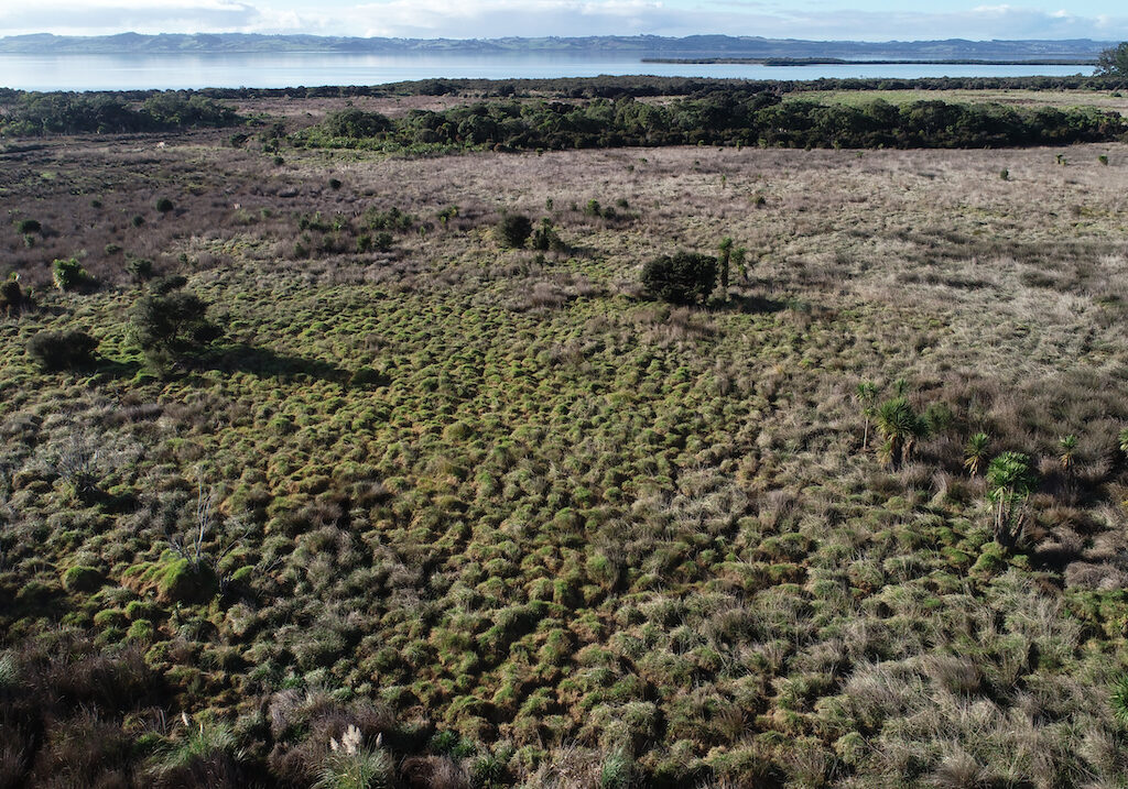 MN looking toward Kaipara Harbour