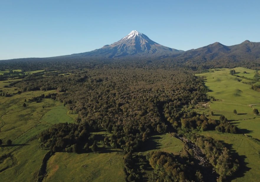 Taranaki Mahood- Lowe Reserve