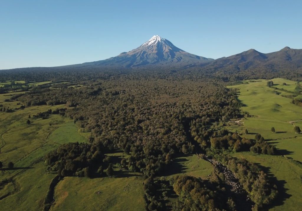 Taranaki Mahood-Lowe Reserve