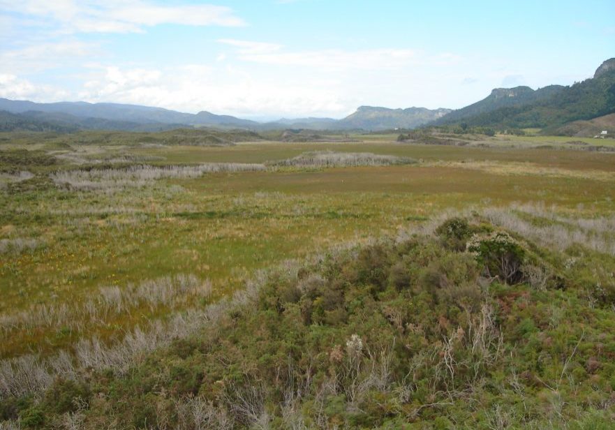 Mangarakau-Wetland-881x661 Mangarakau-Wetland-881x661