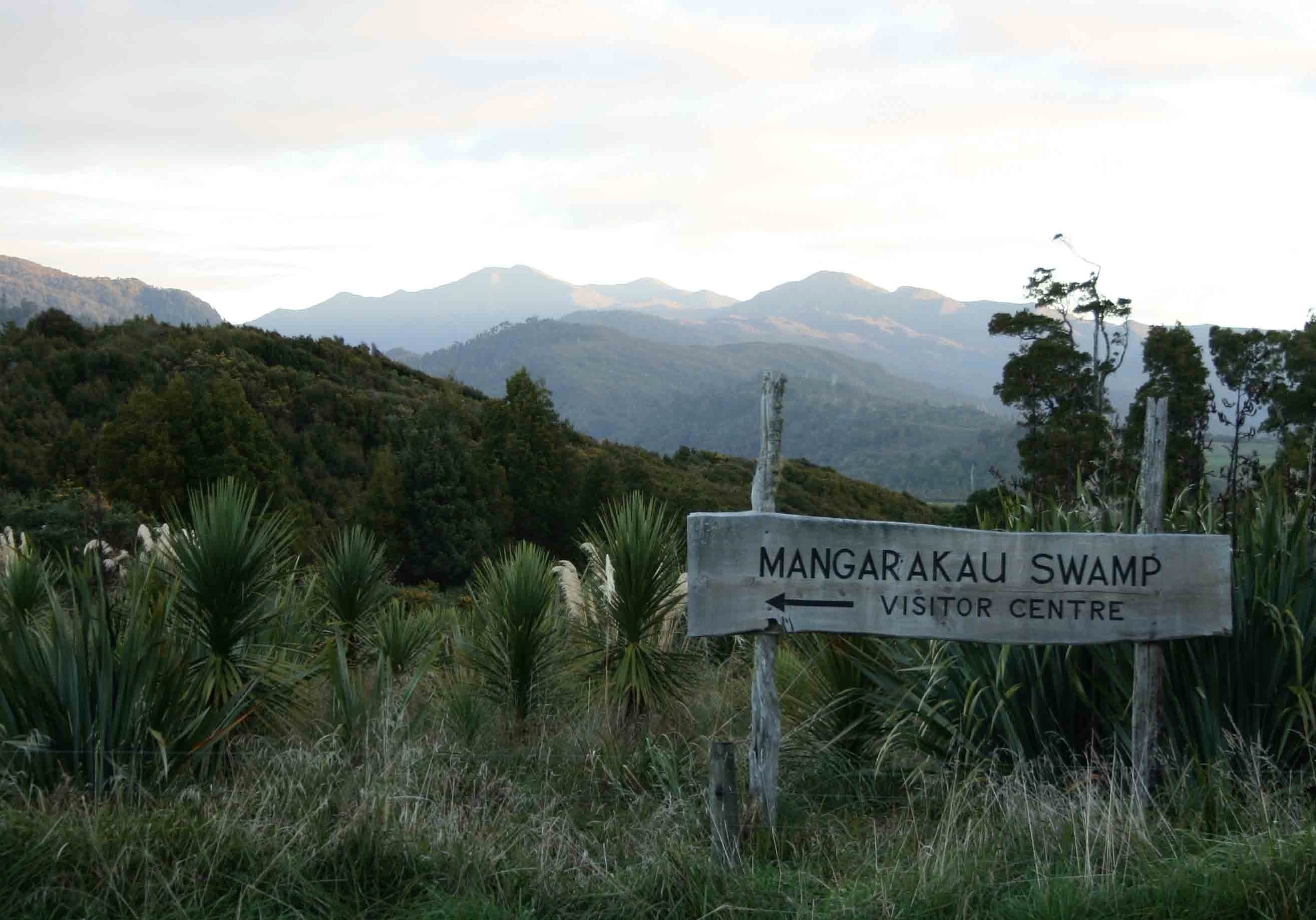 NFRT Mangarakau Wetland