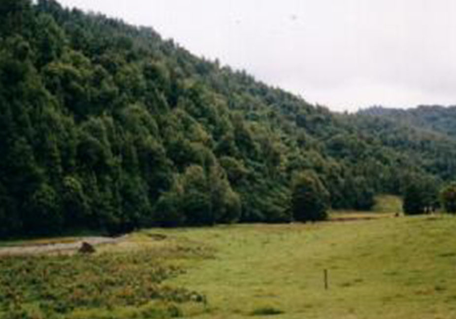 Owen-Lewis-small-(1) Owen-Lewis-small-(1)
