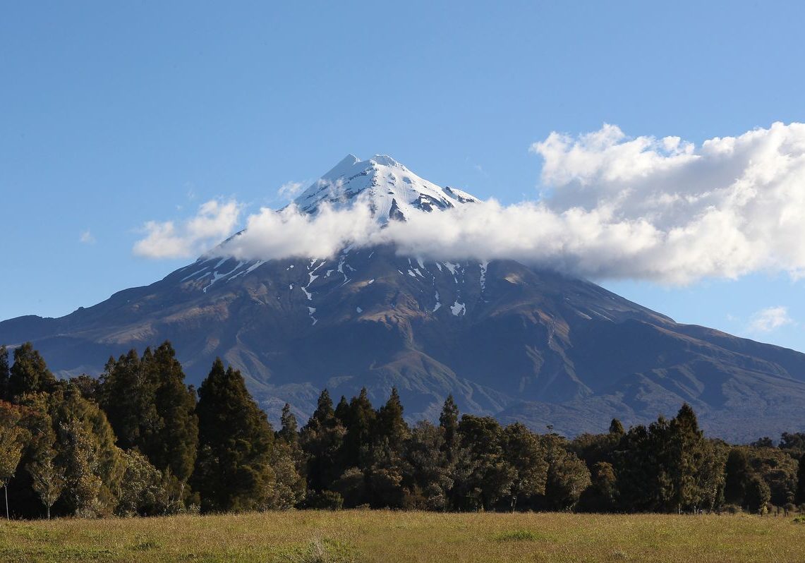 Taranaki Mahood NFRT Taranaki Mahood NFRT