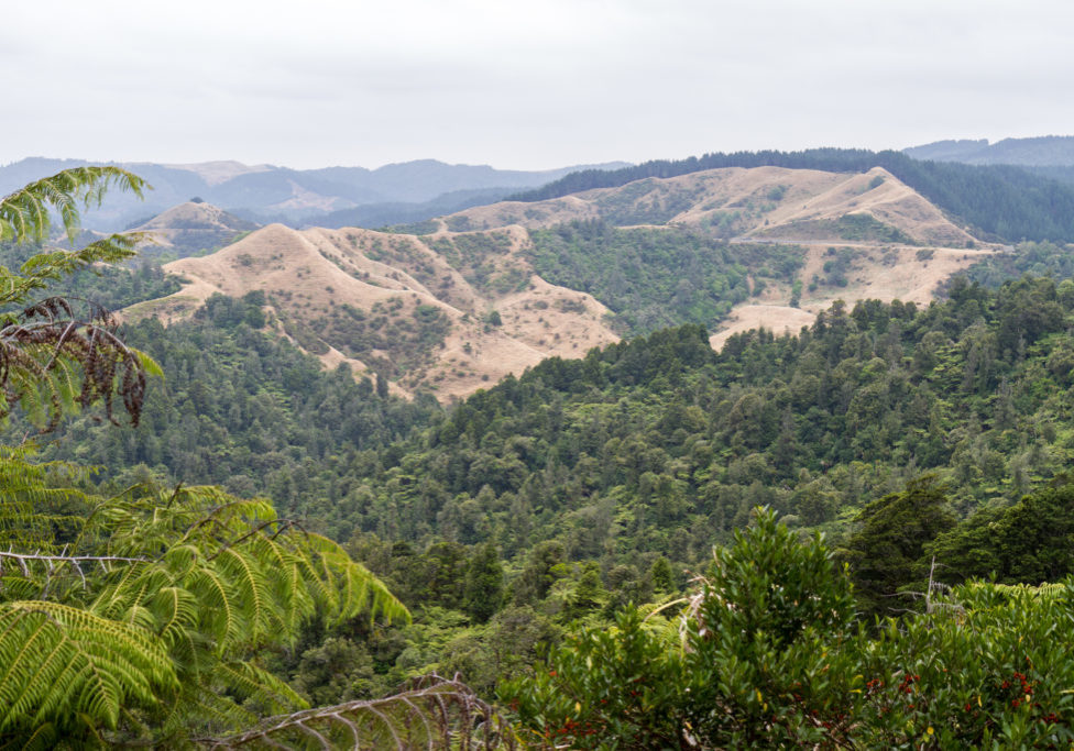 View across the reserve looking north west by Sandy Crichton2