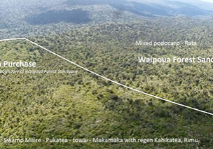 aerial-13-nov-waipoua-weka-waima-285_1-1200x683